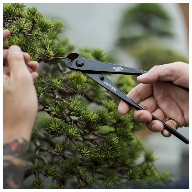 SUWADA &times; TRADMAN&rsquo;S　-又枝切 205mm- 詳細画像